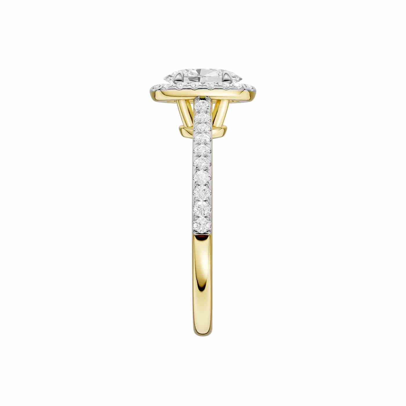 Ravisse Ring | Oval Cut