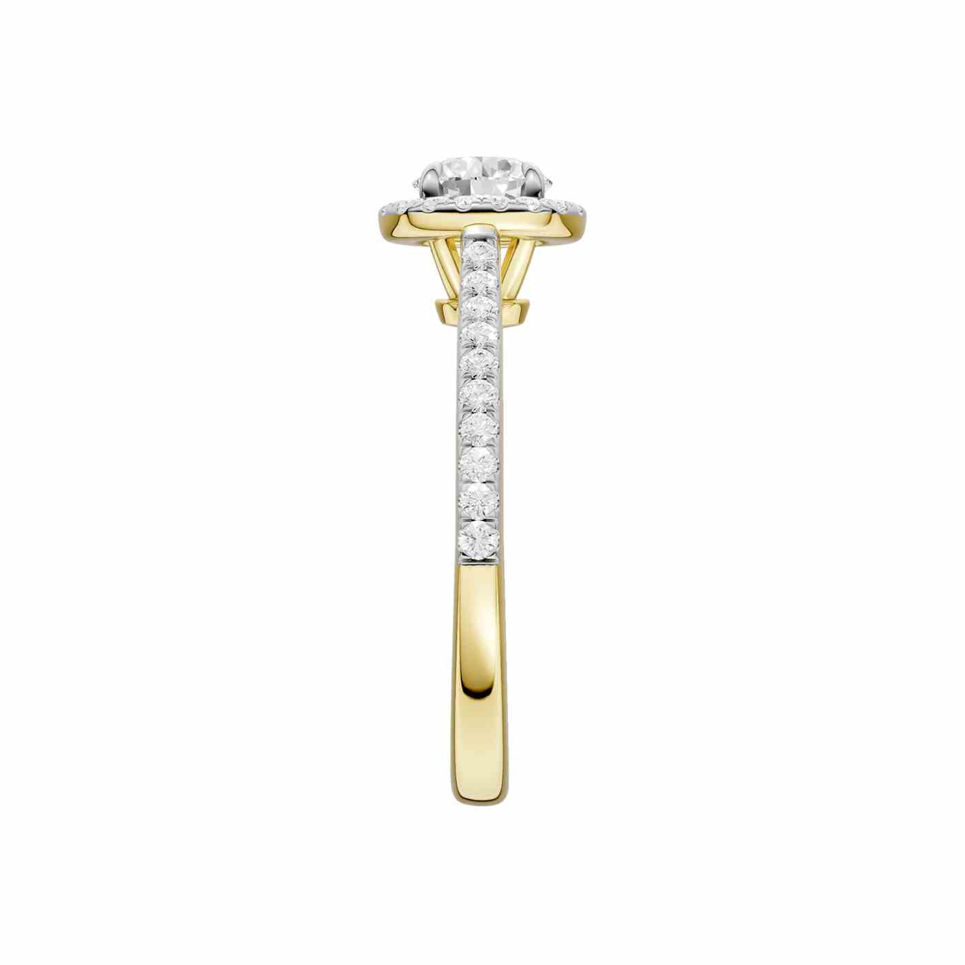 Ravisse Ring | Round Cut