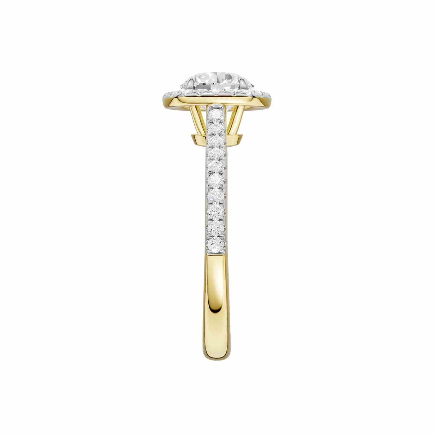 Ravisse Ring | Round Cut