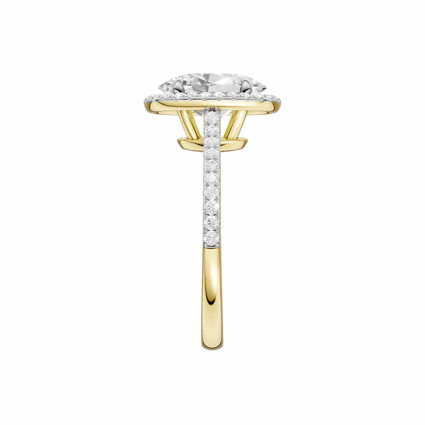 Ravisse Ring | Oval Cut