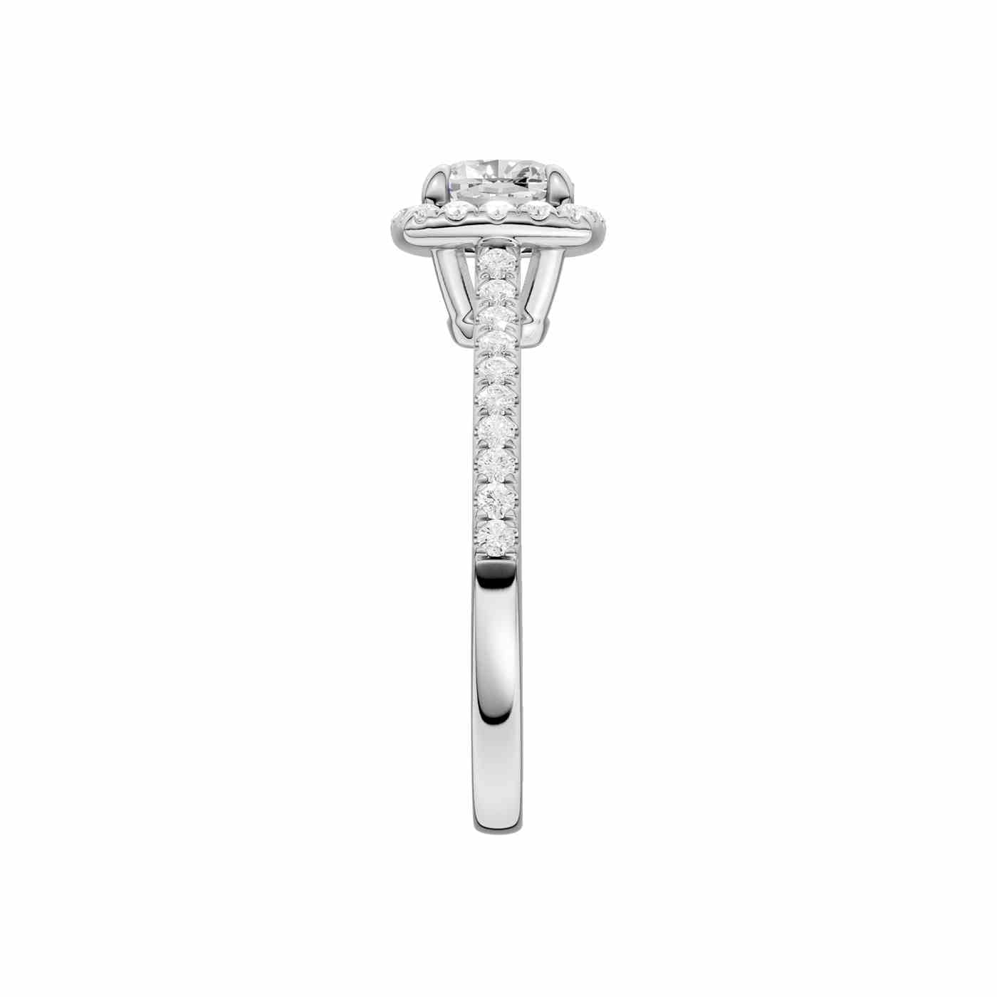 Elaraka Ring
