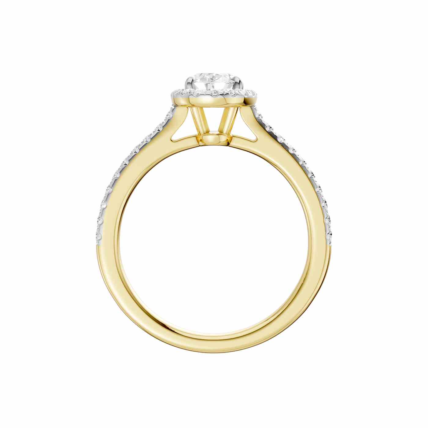 Ravisse Ring | Oval Cut