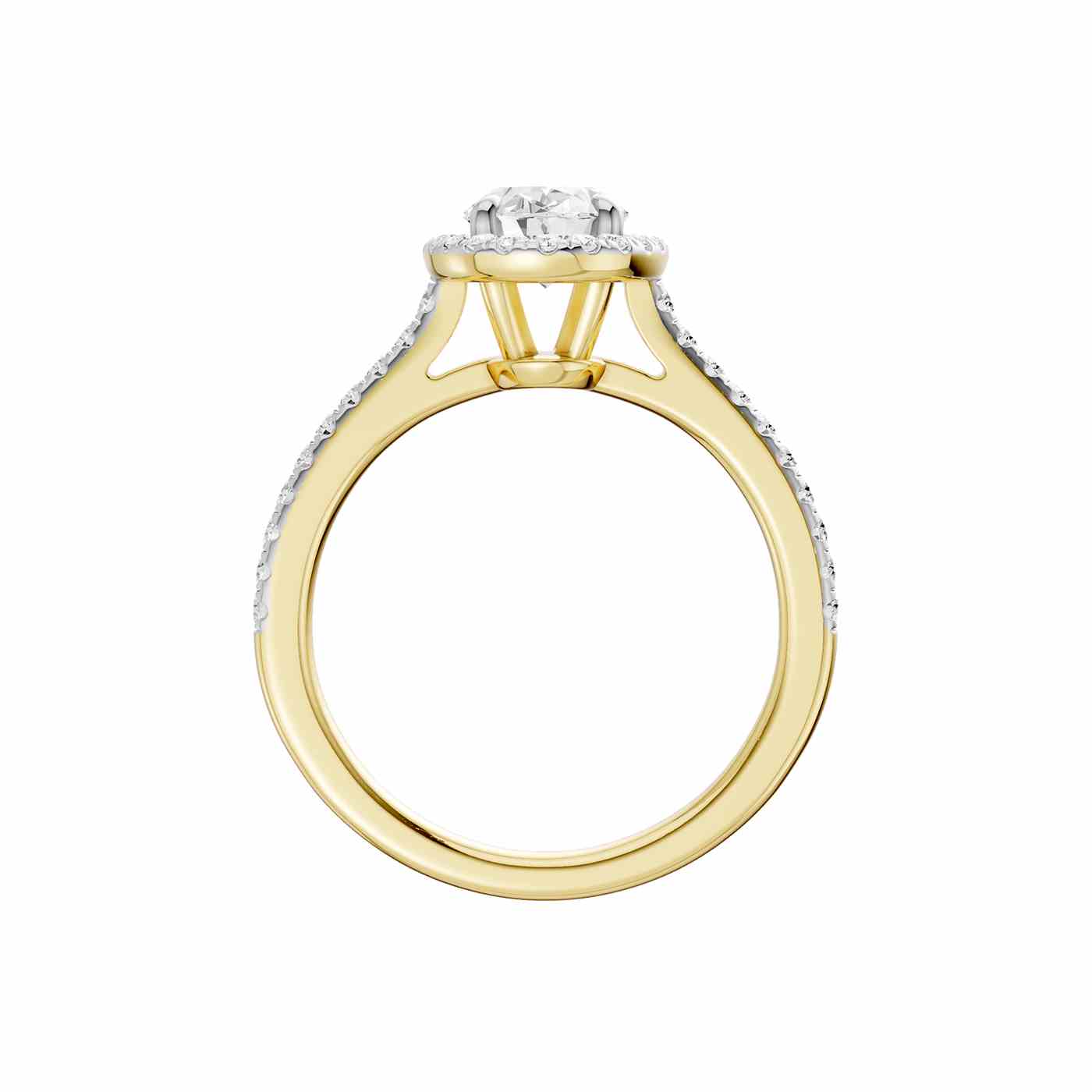 Ravisse Ring | Oval Cut